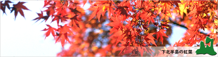 下北半島の紅葉
